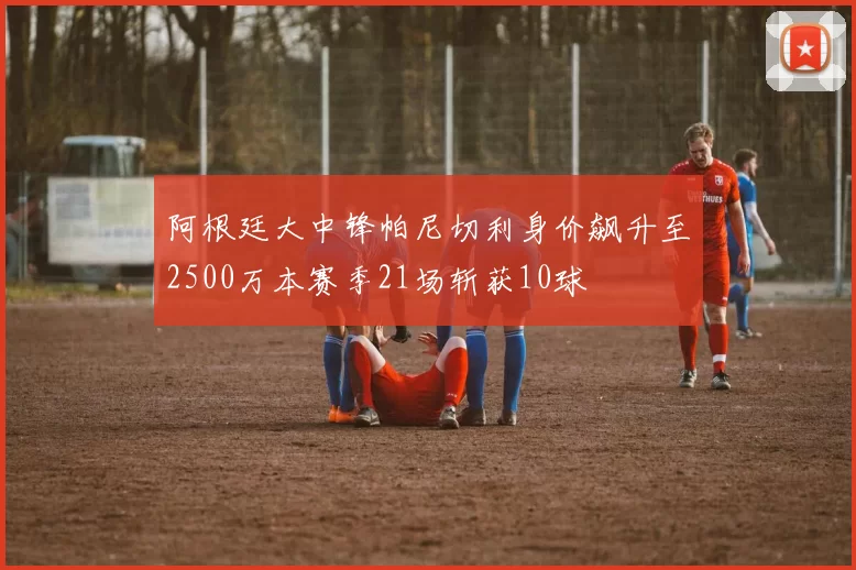 阿根廷大中锋帕尼切利身价飙升至2500万本赛季21场斩获10球
